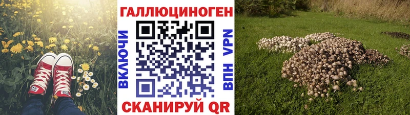 Галлюциногенные грибы Cubensis  блэк спрут ссылки  Черемхово 